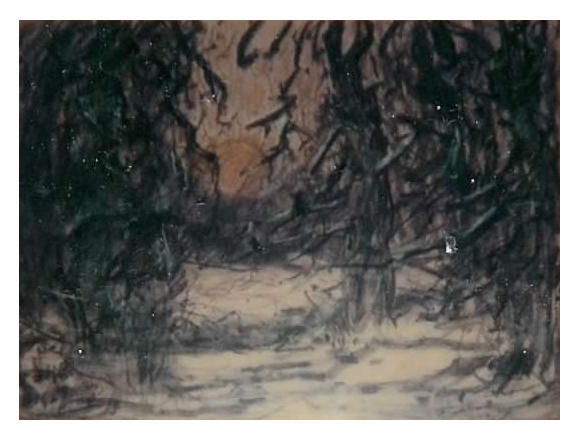 Anton dejong dutch painter: Woods in charcoal