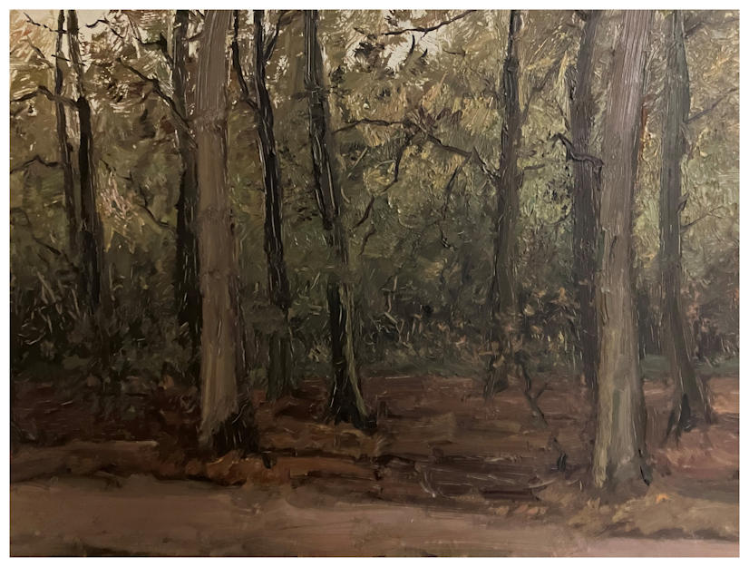 Anton dejong nederlandse schilder: Bomen. 