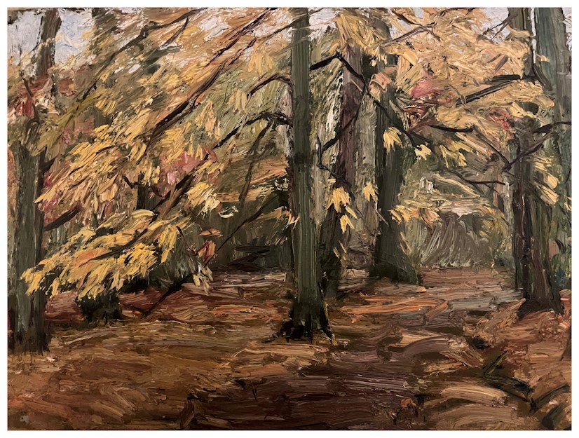 Anton dejong nederlandse schilder: Bomen en pad. 