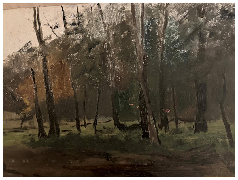 Anton dejong nederlandse schilder: Bomen in veld.  