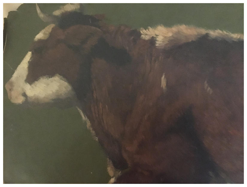 Anton dejong nederlandse schilder: Zijaanzicht van koe. 