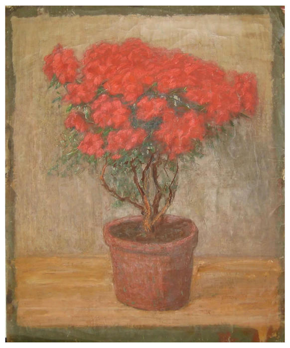 Anton dejong dutch painter: Plant in pot